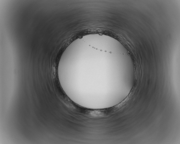 X0000116430183200912081228