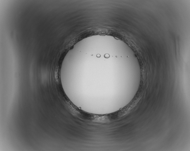 X0000116430185200912081228
