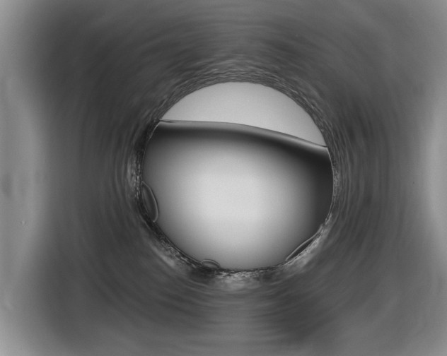 X0000116430186200912081228