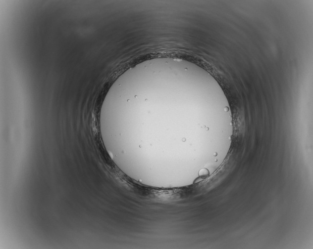 X0000116430187200912081228