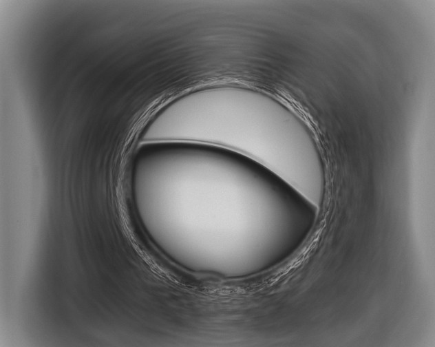X0000116430193200912081227