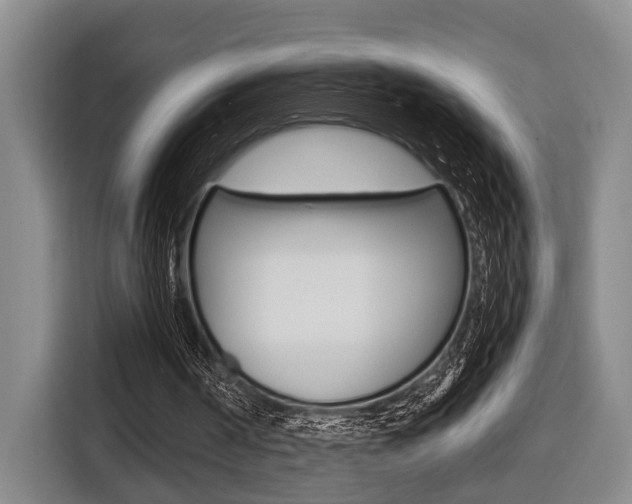 X0000116430194200912081227