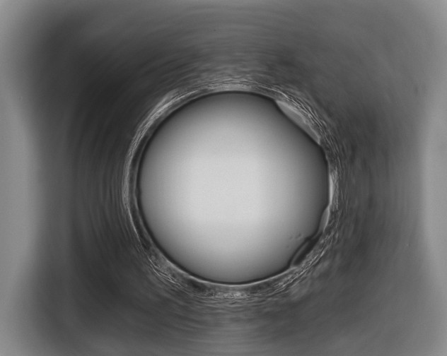 X0000116430195200912081227
