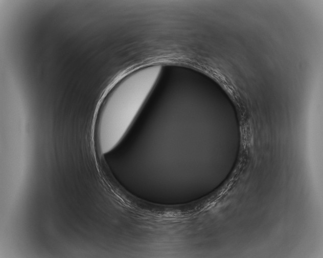 X0000116430196200912081227