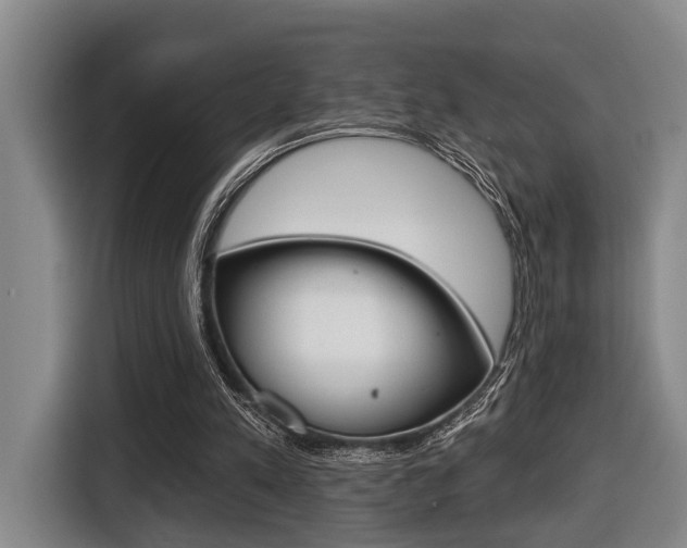 X0000116430197200912081227