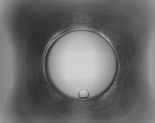 X0000116430199200912081227