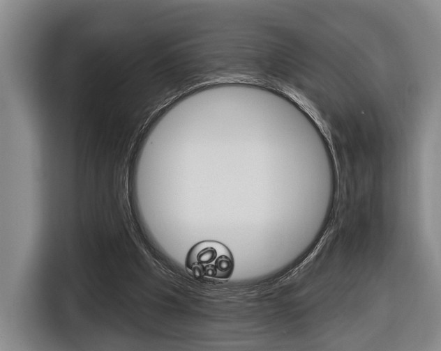 X0000116430201200912081227