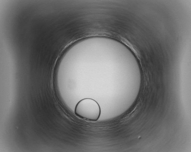 X0000116430203200912081227