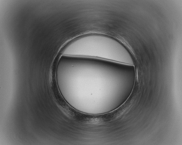 X0000116430204200912081227