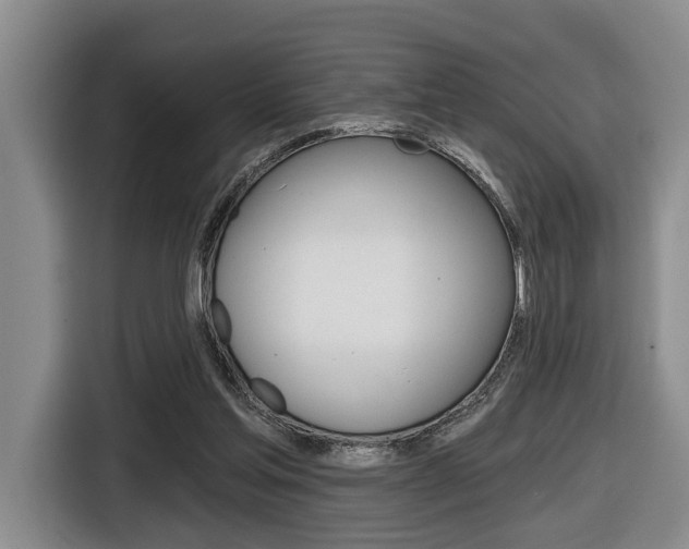 X0000116430205200912081227