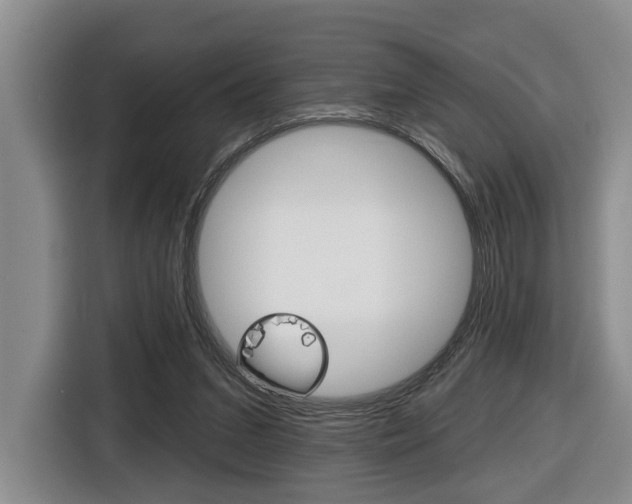 X0000116430207200912081227