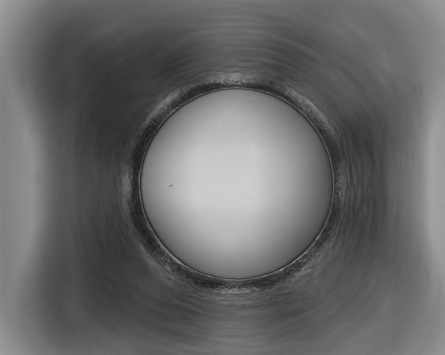 X0000116430208200912081227