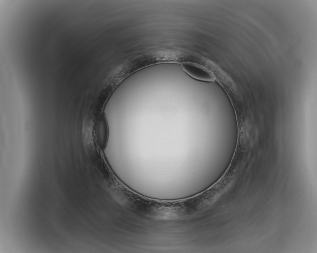 X0000116430209200912081227