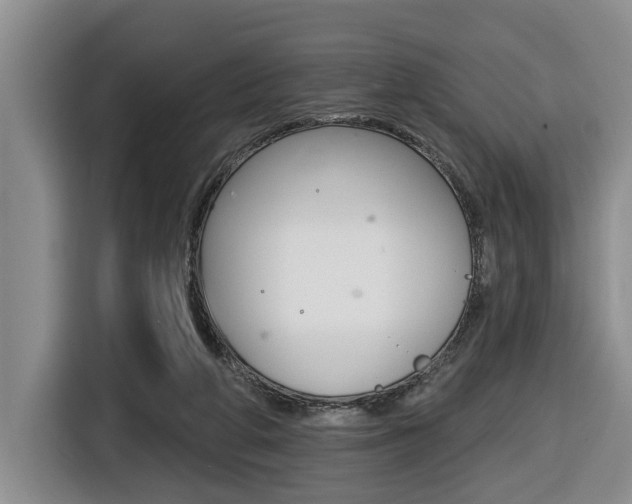 X0000116430210200912081227