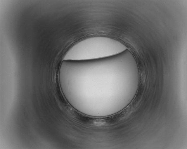 X0000116430214200912081227