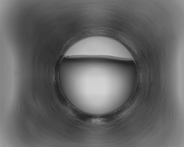 X0000116430216200912081227