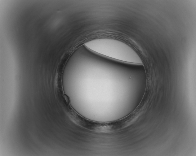 X0000116430217200912081227