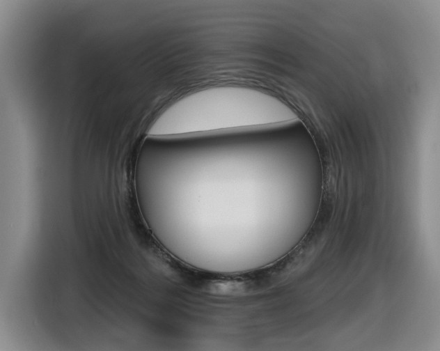 X0000116430220200912081227