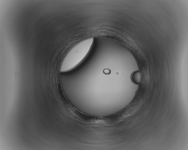 X0000116430224200912081227