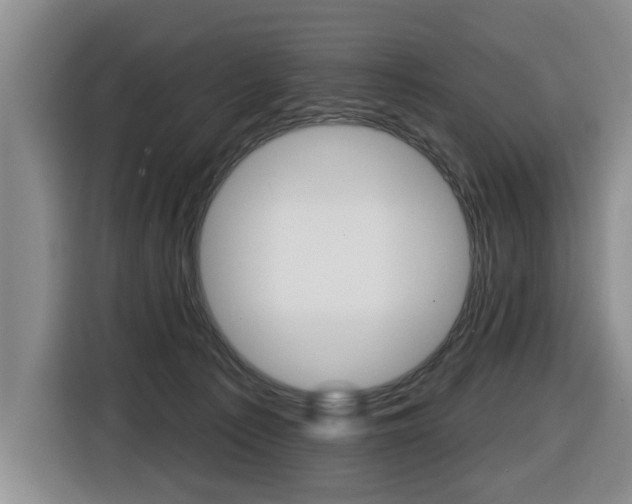 X0000116430225200912081227