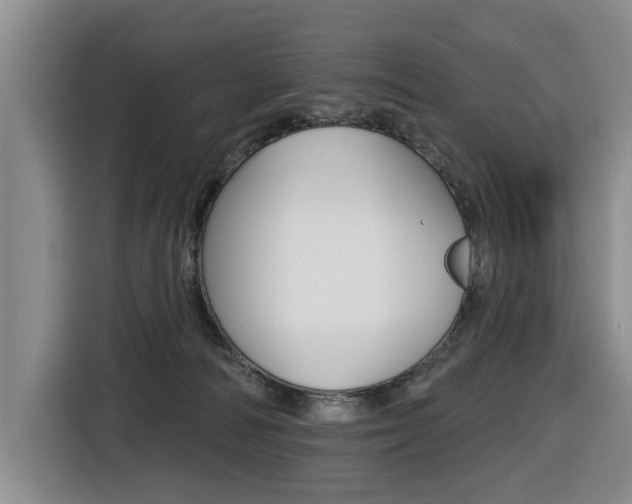 X0000116430226200912081227