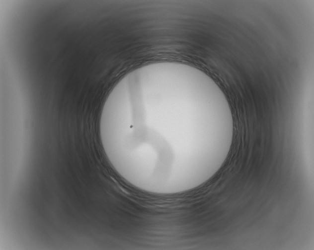 X0000116430227200912081227
