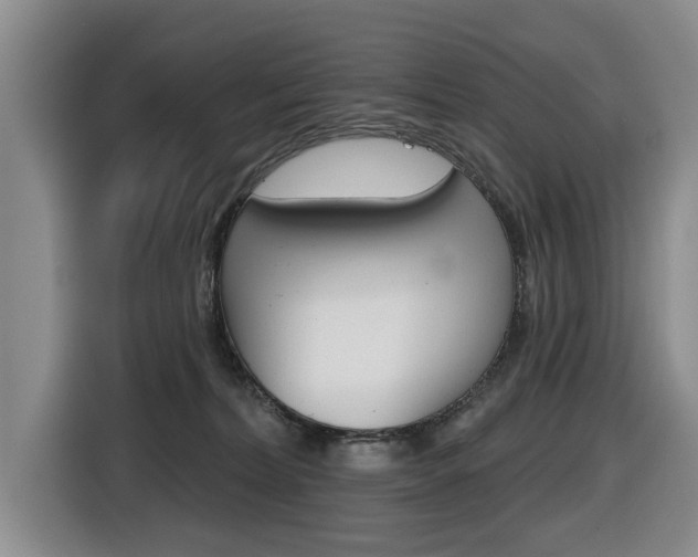 X0000116430228200912081227
