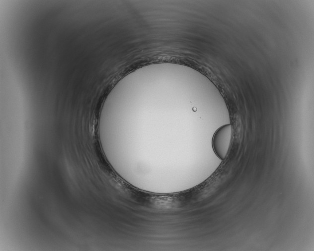 X0000116430230200912081227
