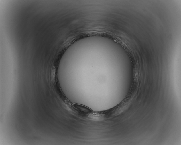 X0000116430231200912081227