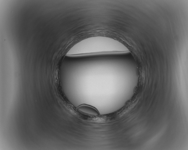 X0000116430236200912081227
