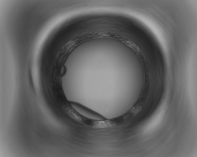 X0000116430239200912081227