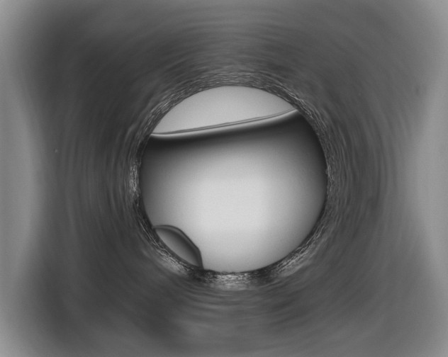 X0000116430240200912081227