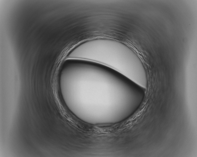 X0000116430241200912081226