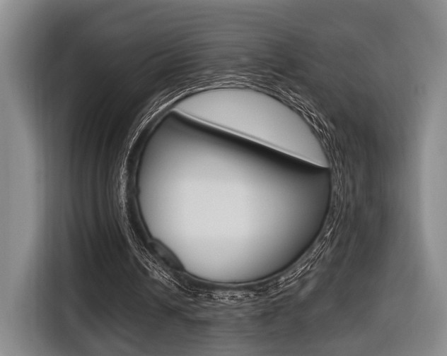 X0000116430242200912081226
