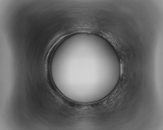 X0000116430243200912081226