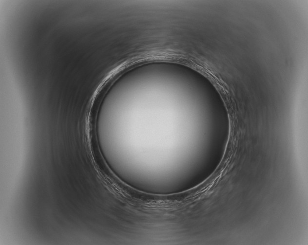 X0000116430244200912081226