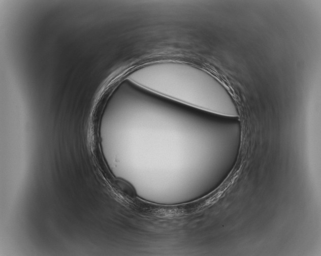 X0000116430245200912081226