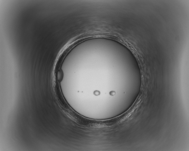 X0000116430246200912081226
