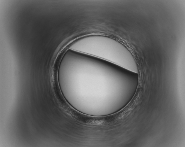 X0000116430247200912081226