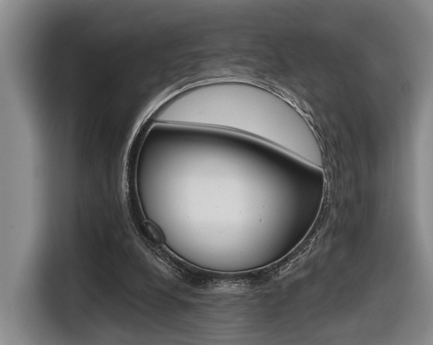 X0000116430248200912081226