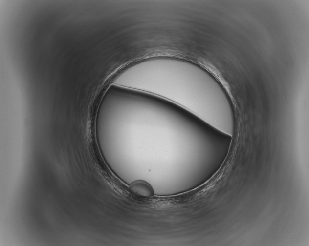 X0000116430249200912081226