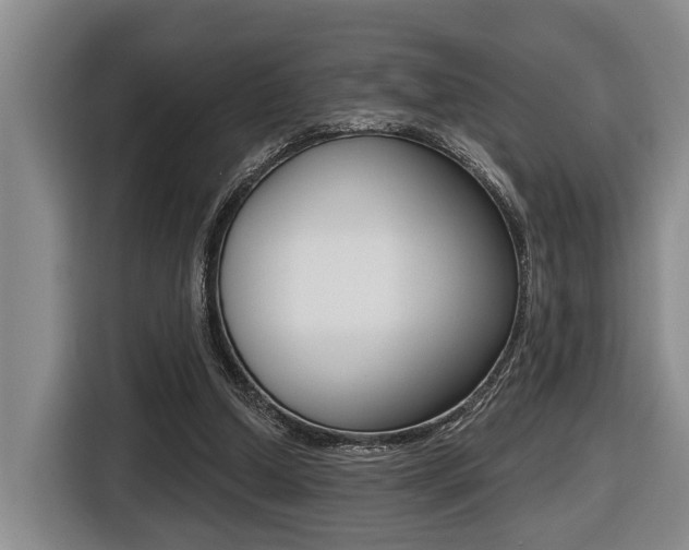 X0000116430250200912081226