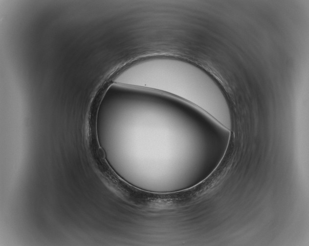 X0000116430252200912081226