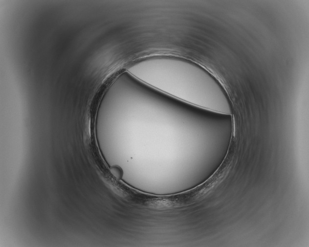 X0000116430253200912081226