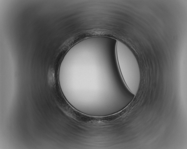 X0000116430254200912081226
