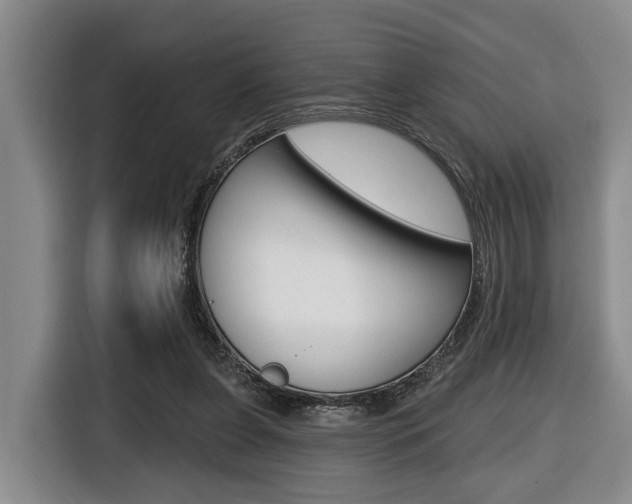 X0000116430255200912081226