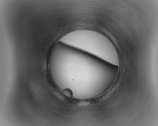 X0000116430257200912081226