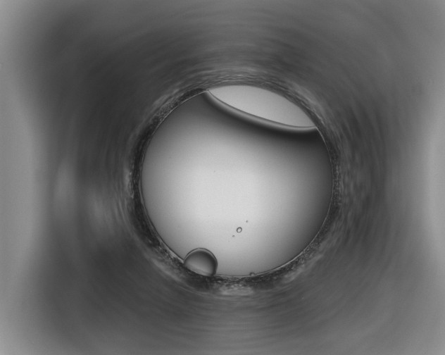 X0000116430258200912081226