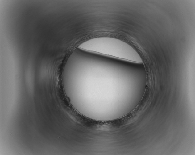 X0000116430259200912081226