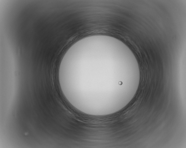 X0000116430260200912081226